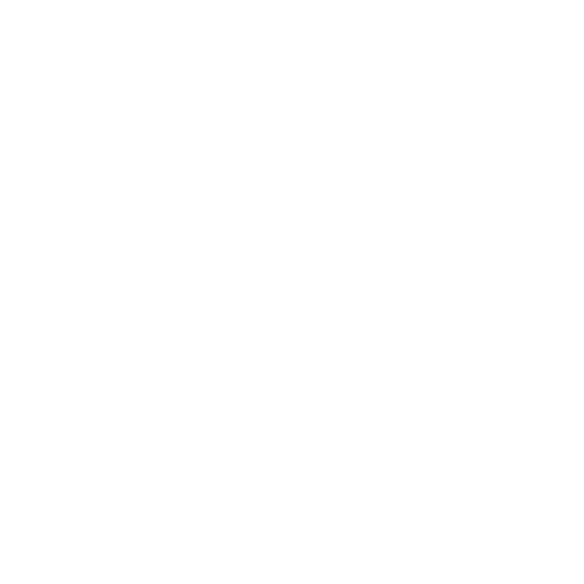 Dash Pro Logo